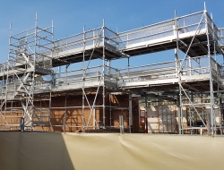 scaffolds